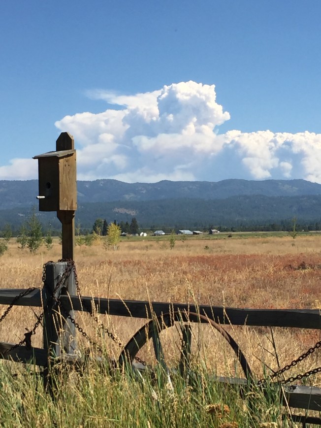 Smoke cloud from fire near Idaho City.