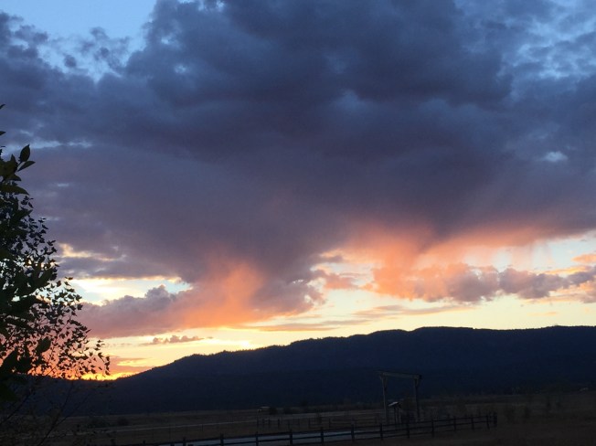 Early Morning Pinkness