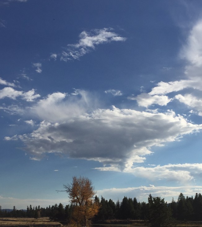 Star Ship Enterprise!