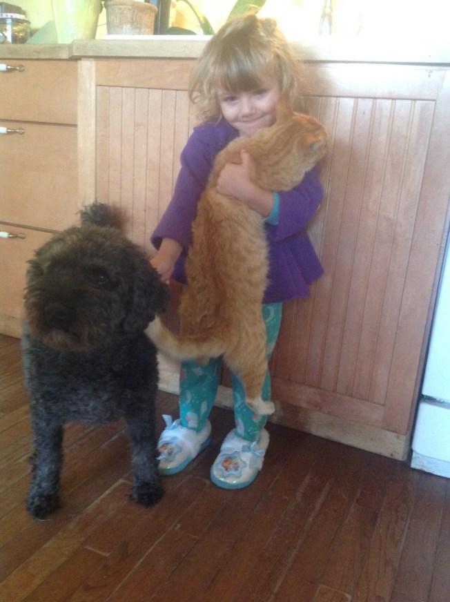 Bedroom slippers, pjs, kitty and doggy!  Busy girl!