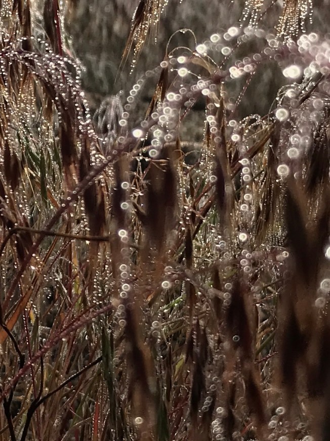 04416A92-45BC-478E-9805-D4FB9091F82E