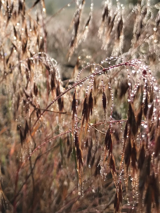 1432A937-A755-4624-BF83-4D8C4DE12E2B