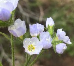 4F203FDB-7CF7-4272-B90C-347E74608179