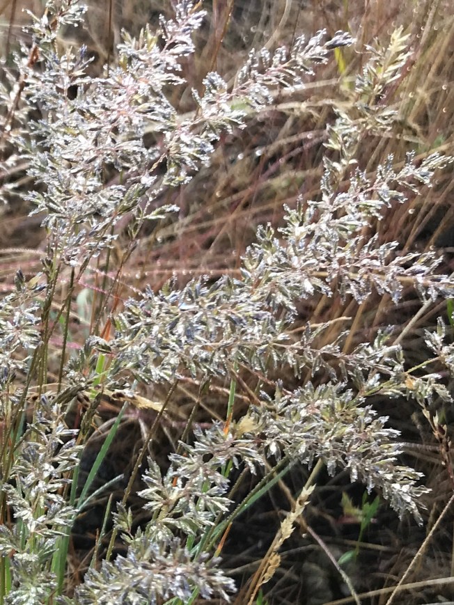 511B9C36-E938-4F32-83BD-EE9D4719D34E