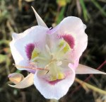 5B5D8655-AA5B-410A-B98C-2D9AC909034D