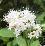 83C184BD-667E-4BB9-B923-BA466A73A661